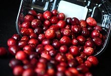 Cranberrys liegen in einer Schale - Sina Schuldt/dpa-tmn