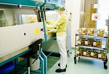 Tierlabor - Foto: Uwe Anspach/dpa