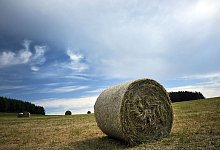 Mix aus Sonne, Wolken und Regen in NRW erwartet. - Federico Gambarini/dpa