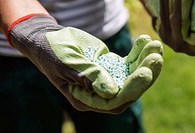 Schneckenkorn - Foto: Christin Klose/dpa-tmn