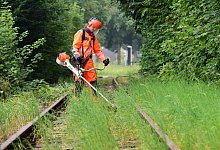 Grasm&auml;hen zwischen Gleisen - Foto: picture alliance / dpa