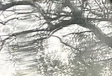 theatre-fragile_relating-forest-k - 1 - Bildrechte: TheatreFragile