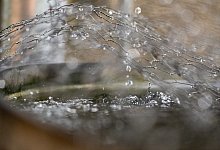 Regentonne im Garten - Foto: Franziska Gabbert/dpa-tmn