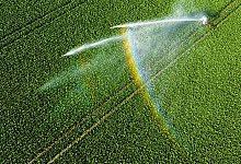 Hitze in Niedersachsen - Landkreis Peine - Julian Stratenschulte/dpa