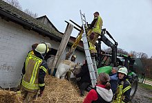 «Pirat» bleibt bei Fluchtversuch stecken - -/Feuerwehr Datteln/dpa