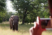 Ins &laquo;warme Herz Afrikas&raquo;: F&uuml;nf Gr&uuml;nde f&uuml;r eine Malawi-Reise - Julian Hilgers/dpa-tmn/dpa