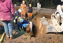 Hilfloses Pferd aus Schlammgrube befreit - Feuerwehr Essen/dpa