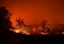 Buschbrand in Australien - -/WOOLGOOLA FIRE AND RESCUE/AAP/dpa