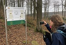 Mythenweg - Silke Buhrmester