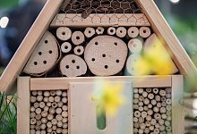 Insektenhotel - Robert G&uuml;nther/dpa-tmn