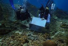 Auswilderung - Foto: S Hotels & Resorts/dpa