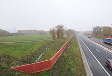 dsc_5884 - Marc Uthmann