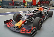 Red-Bull-Pilot - Foto: Vincent Thian/AP