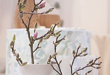 Besondere Vasen: Helfer f&uuml;rs Arrangieren von Blumen und Zweigen - Franziska Gabbert/dpa-tmn