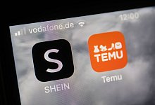 Internethändler Temu und Shein - Oliver Berg/dpa