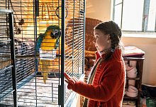 "Kommt ein Vogel geflogen" - Patricia Neligan/SWR/dpa