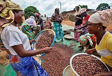 Kakaobäuerinnen - TransFair e.V./ Sean Hawkey/TransFair e.V./obs