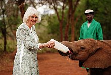 K&ouml;nigin Camilla in Kenia - Victoria Jones/PA Wire/dpa