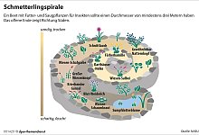 Schmetterlingsspirale - dpa-infografik GmbH/dpa-tmn