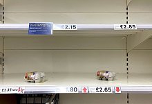 Eier werden in Gro&szlig;britannien knapp - Gareth Fuller/PA Wire/dpa