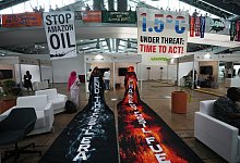 Weltklimakonferenz COP30 - Andre Penner/AP/dpa