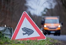 Kr&ouml;tenwanderung - Rolf Vennenbernd/dpa