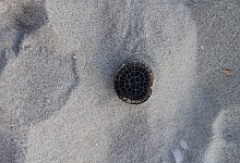 photo-2024-09-17-18-24-23 - Privat