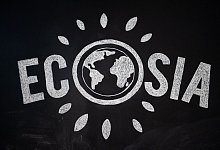 Suchmaschine Ecosia - Arne Immanuel Bänsch/dpa