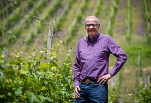 Günther Jauch auf seinem Weingut - Harald Tittel/dpa