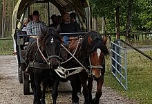 20191013_132314-2019_10_13-16_32_40-utc - 1 - Natur OWL