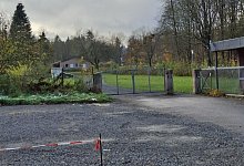 20241121_105954 - 1 - Wilfried Starke