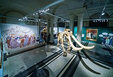 &laquo;American Heiner&raquo; im Hessischen Landesmuseum - Foto: Andreas Arnold/dpa