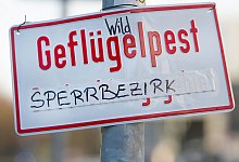 Verdachtsfall - Symbolfoto: dpa