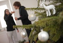 Streit unter dem Tannenbaum - Andreas Gebert/dpa