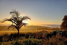 Sonnenaufgang nahe der Stadt George - Christian Selz/dpa-tmn