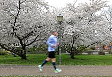 Joggen - Foto: Peter Gercke/dpa-Zentralbild/dpa
