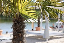 Wetterausblick zum Wochenstart - Sascha Thelen/dpa