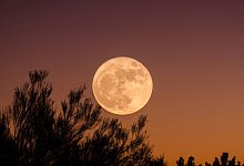 ganapathy-kumar-9kbsq91nfwg-unsplash - Symbolbild: Unsplash