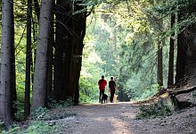 Wandern wird zum Trend. - Martin D&uuml;sterberg