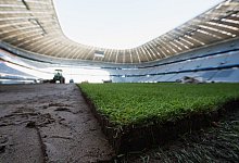 Neuer Rasen f&uuml;r die Allianz Arena - picture alliance / dpa
