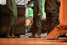 Vogelgrippe - -/onw-images/dpa