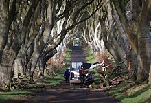 Dark Hedges - Liam Mcburney/PA Wire/dpa