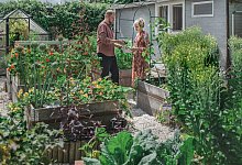 SA Laubentraum und Gartengl&uuml;ck - Anne Peter