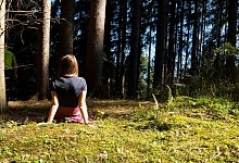 Im Wald - Andreas Drouve/dpa-tmn/Archivbild