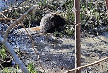 486078539_18086655268609101_5257623934825674387_n - 1 - Feuerwehr Hövelhof