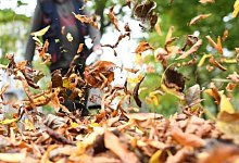 Pusten in Orkanst&auml;rke - Foto: Ralf Hirschberger/dpa-Zentralbild/dpa-tmn