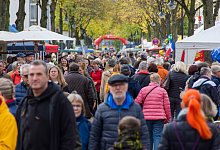 Bad Meinberger Bauernmarkt - Raphael Bartling