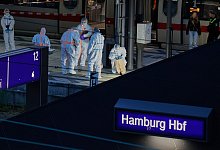 Mehrere Verletzte bei Messerangriff in Hamburg - Georg Wendt/dpa