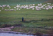 Mildes Winterwetter - Thomas Banneyer/dpa