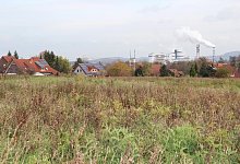 Sch&ouml;ner Blick - Cordula Gr&ouml;ne